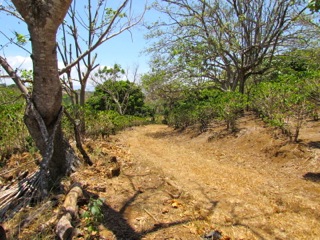 6 bed Land For Sale in Alajuela, Alajuela - thumb 22
