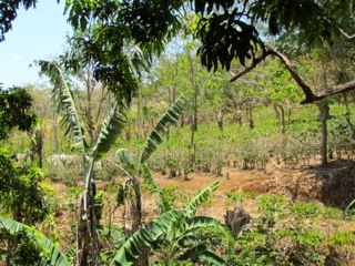 6 bed Land For Sale in Alajuela, Alajuela - thumb 21