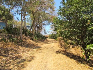 6 bed Land For Sale in Alajuela, Alajuela - thumb 13