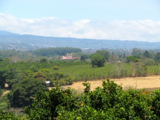 6 bed Land For Sale in Alajuela, Alajuela - thumb 12