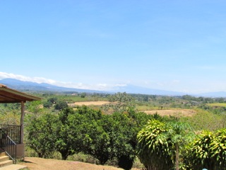 6 bed Land For Sale in Alajuela, Alajuela - thumb 9