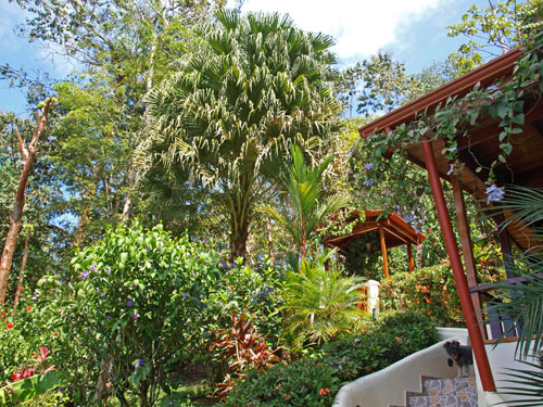 5 bed Single Family Homes For Sale in Manuel Antonio, Puntarenas - thumb 8