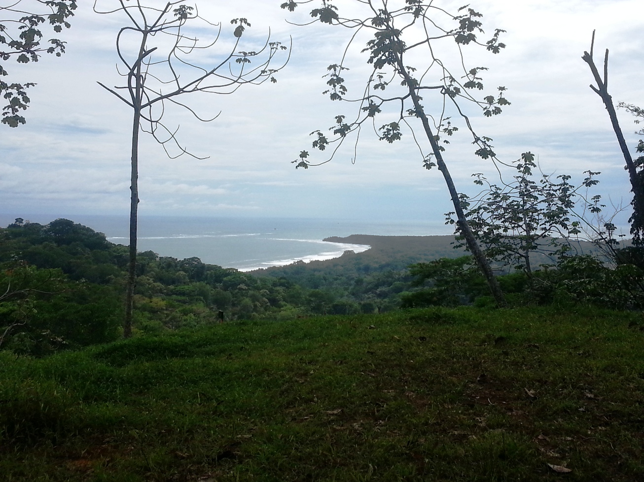 0 bed Land For Sale in Uvita, Puntarenas - thumb 1