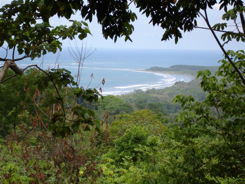 0 bed Land For Sale in Uvita, Puntarenas - thumb 2