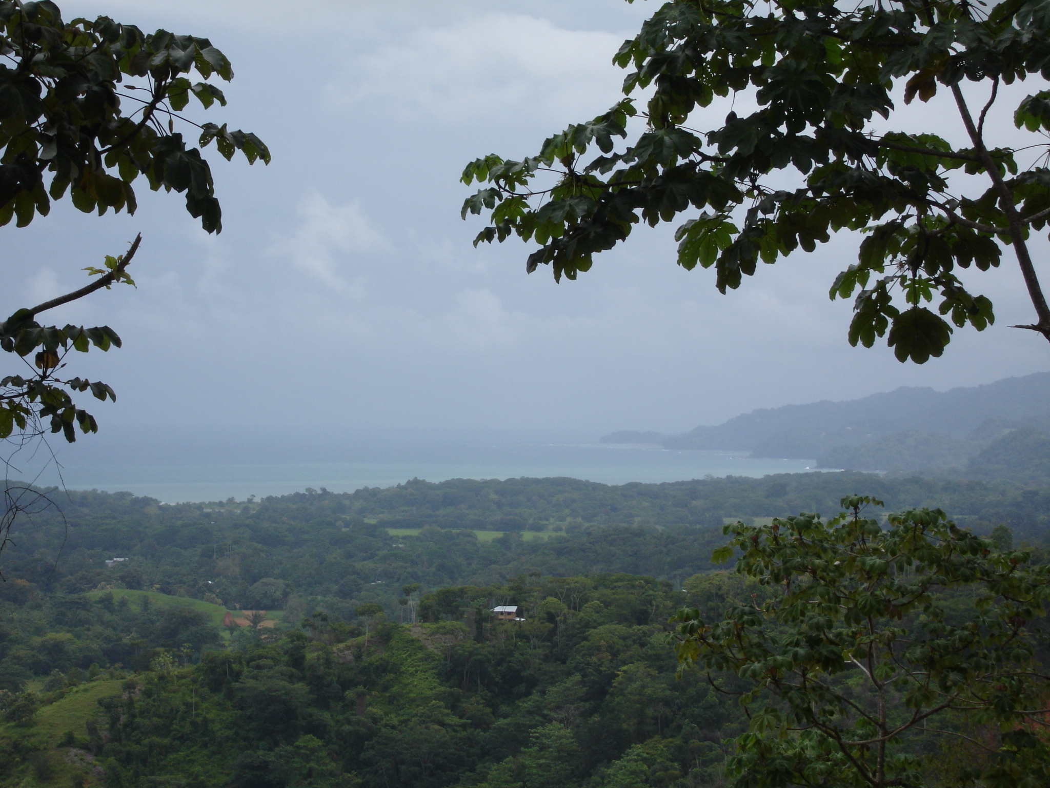0 bed Land For Sale in Uvita, Puntarenas - thumb 3