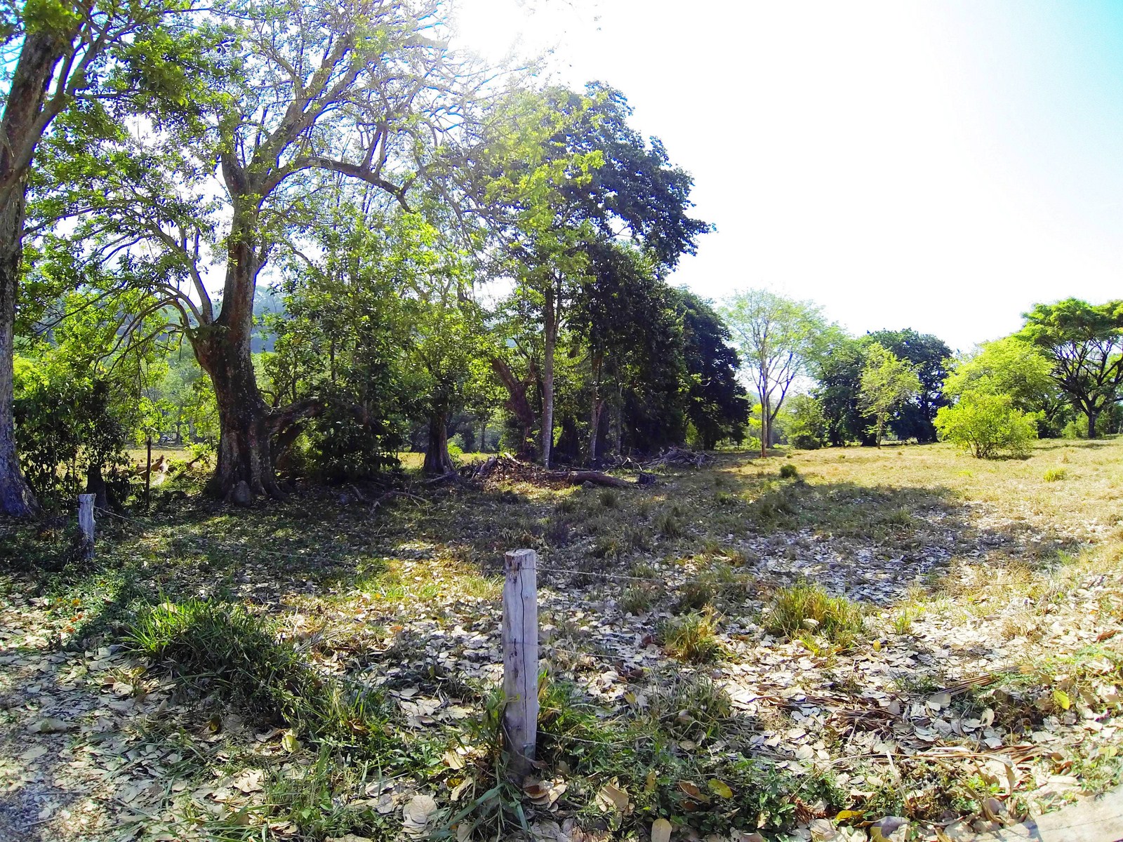 0 bed Land For Sale in Dominical, Puntarenas - thumb 8