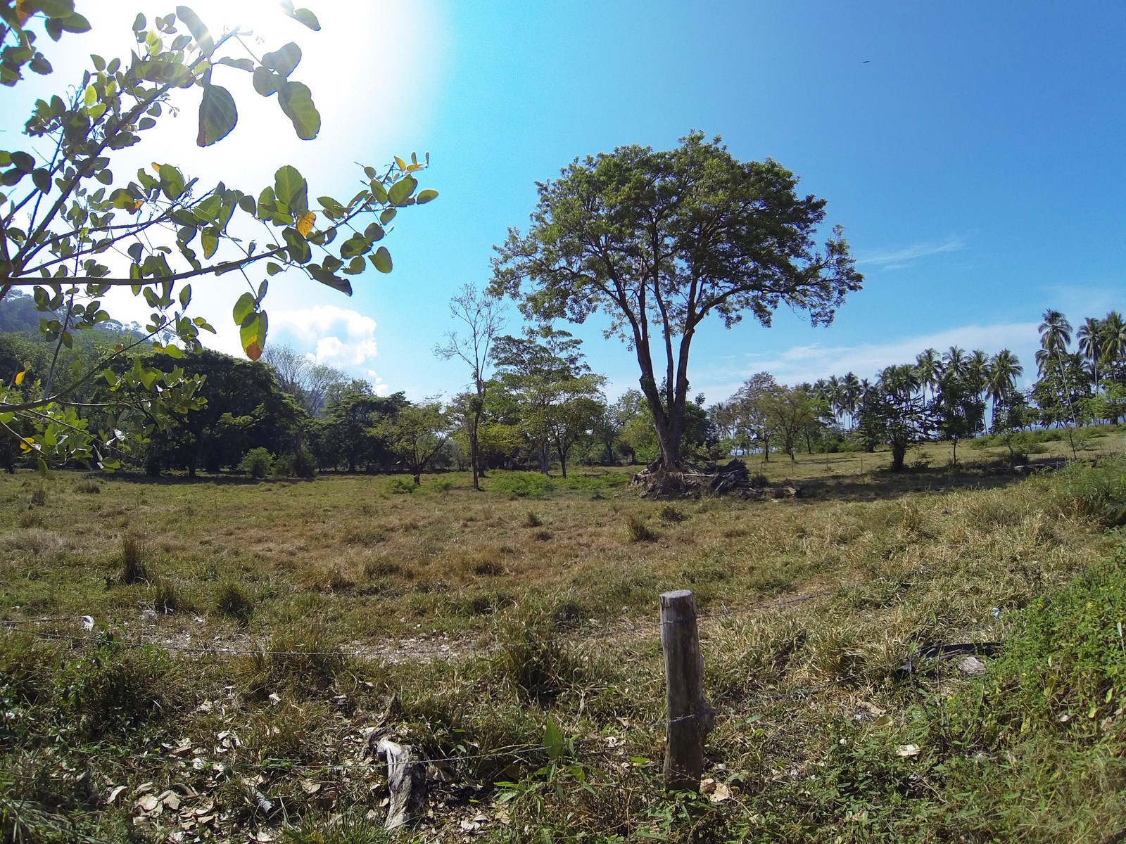 0 bed Land For Sale in Dominical, Puntarenas - thumb 2