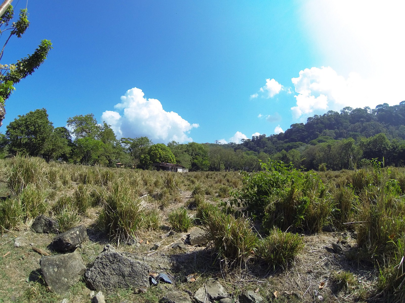 0 bed Land For Sale in Dominical, Puntarenas - thumb 15