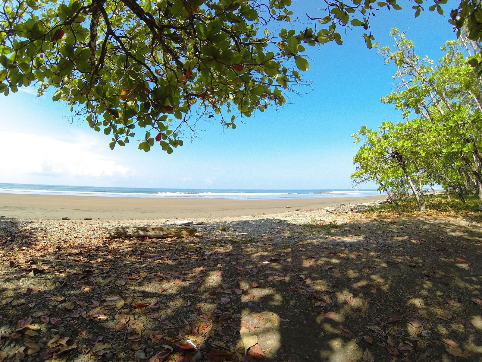 0 bed Land For Sale in Dominical, Puntarenas - thumb 9