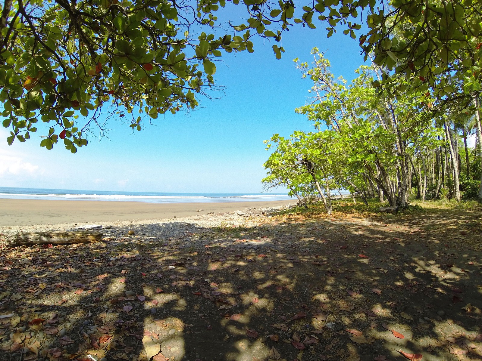 0 bed Land For Sale in Dominical, Puntarenas - thumb 5