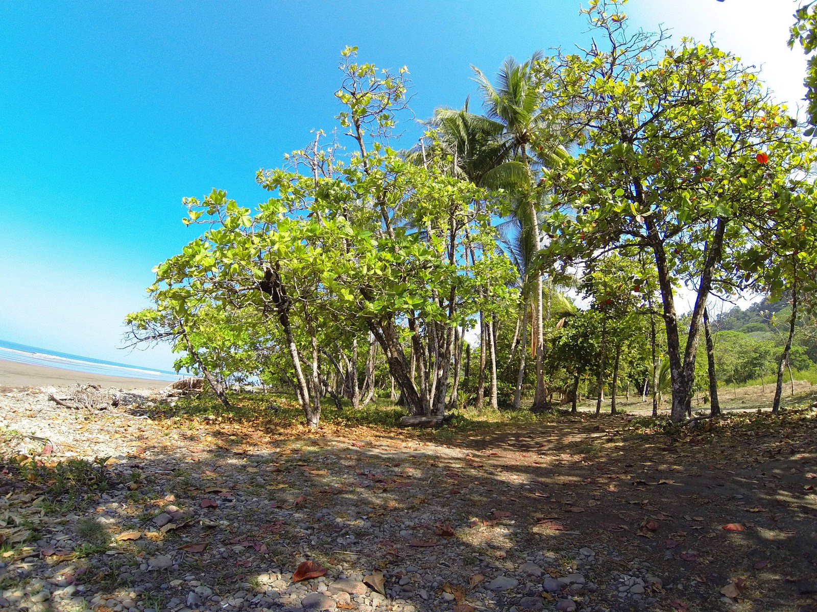 0 bed Land For Sale in Dominical, Puntarenas - thumb 12