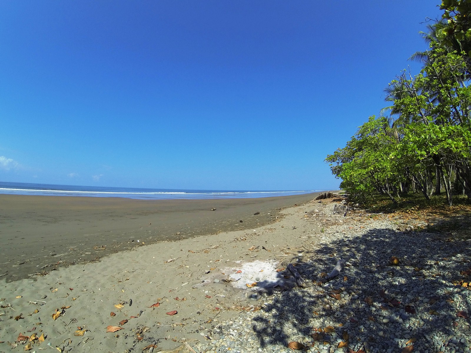 0 bed Land For Sale in Dominical, Puntarenas - thumb 4