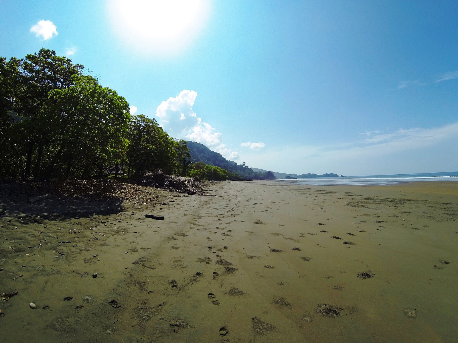 0 bed Land For Sale in Dominical, Puntarenas - thumb 11