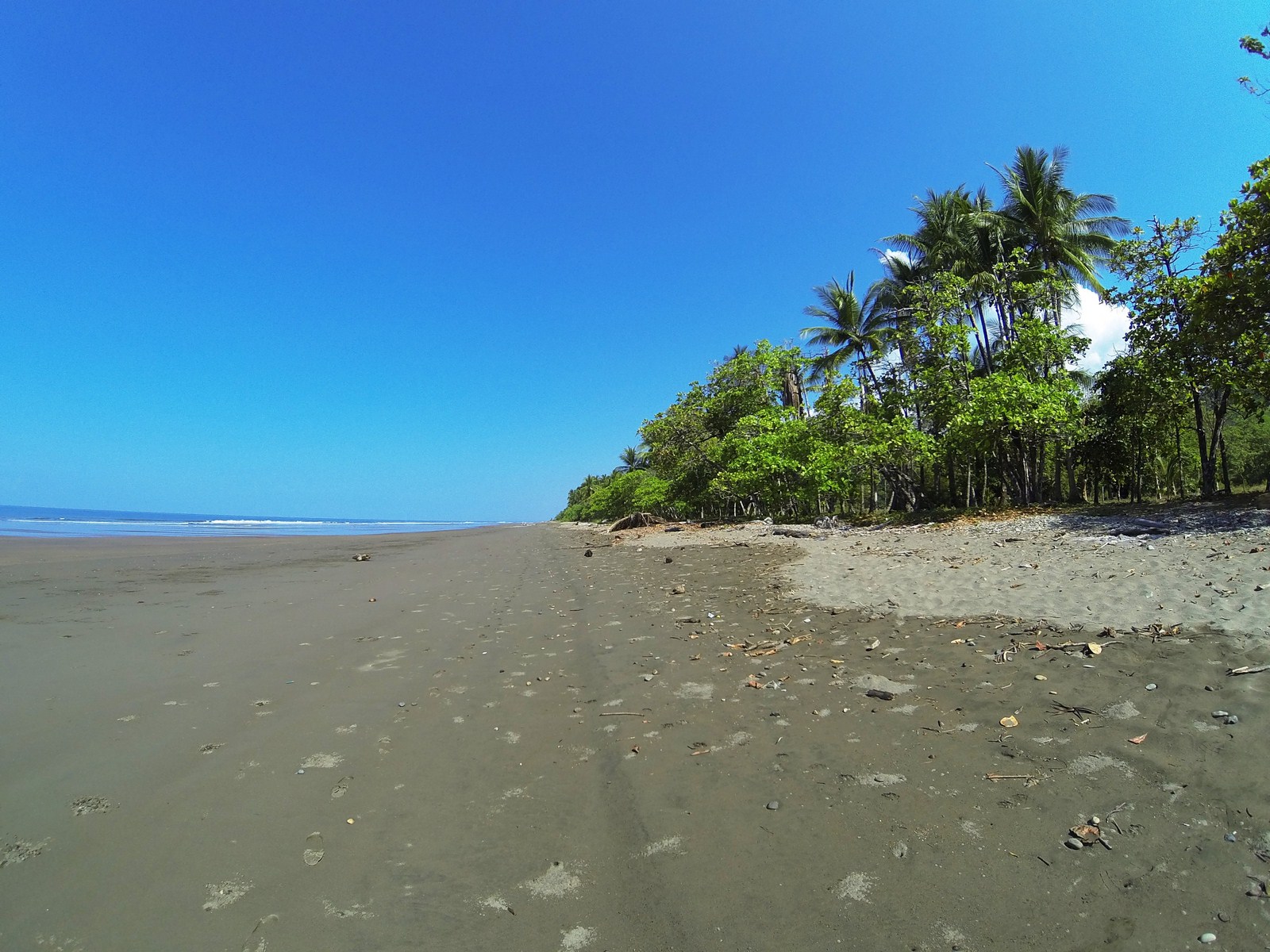 0 bed Land For Sale in Dominical, Puntarenas - thumb 13