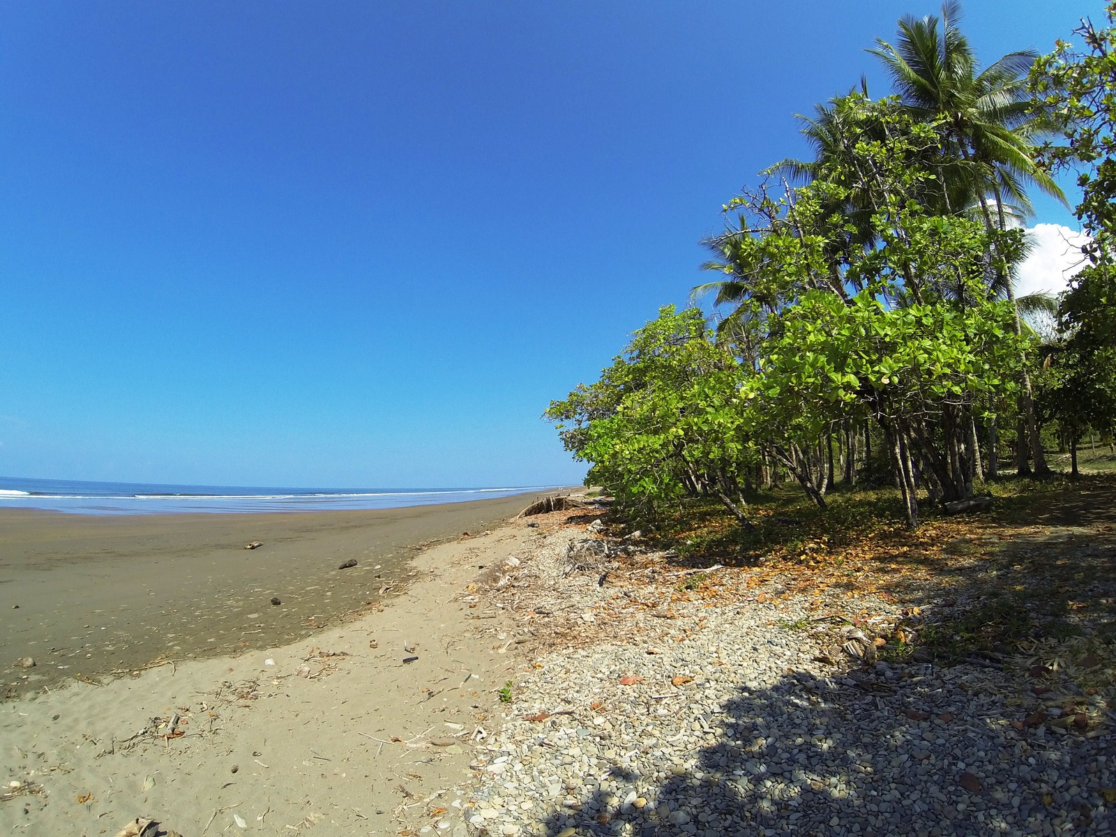 0 bed Land For Sale in Dominical, Puntarenas - thumb 10