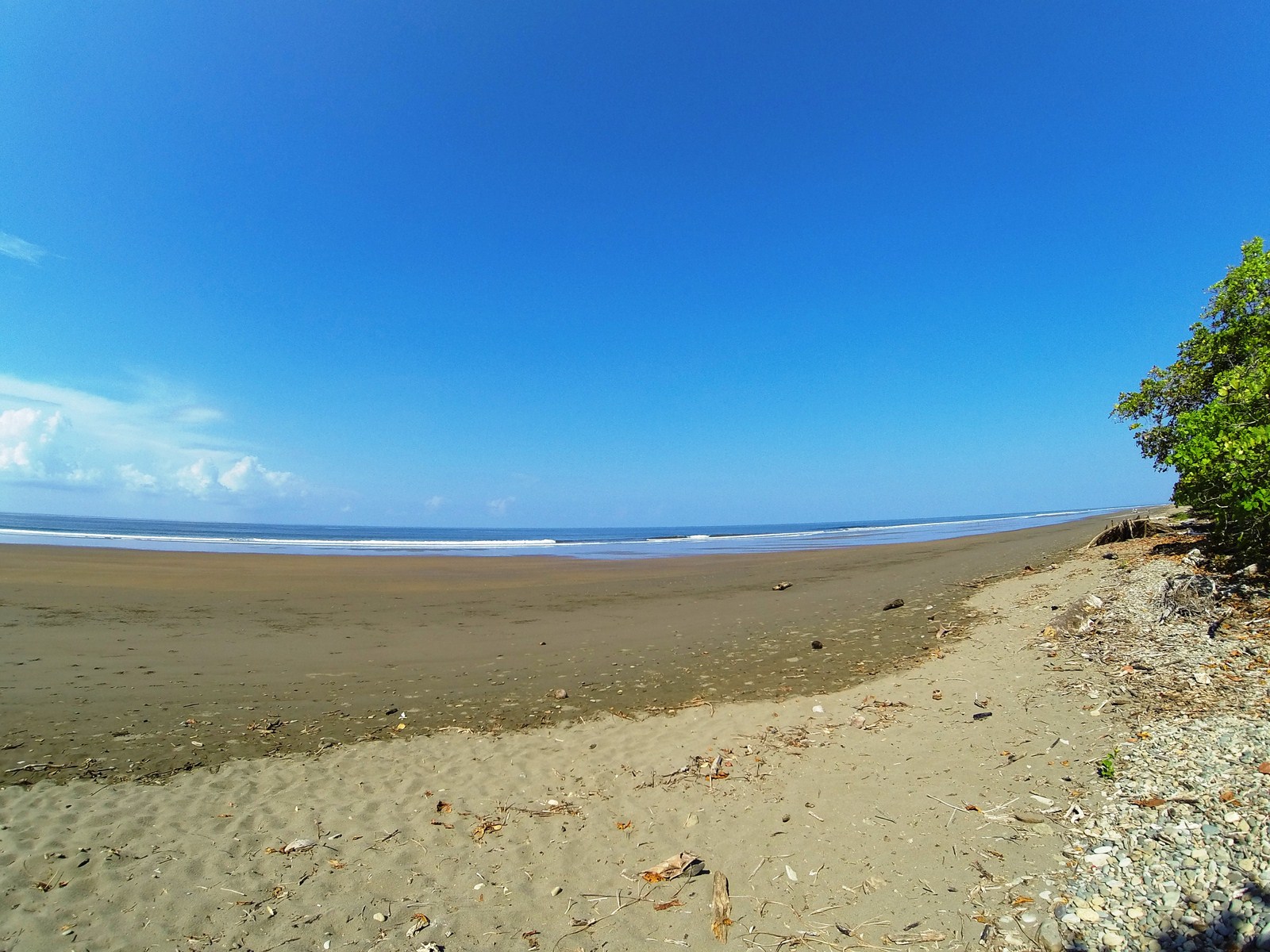 0 bed Land For Sale in Dominical, Puntarenas - thumb 6