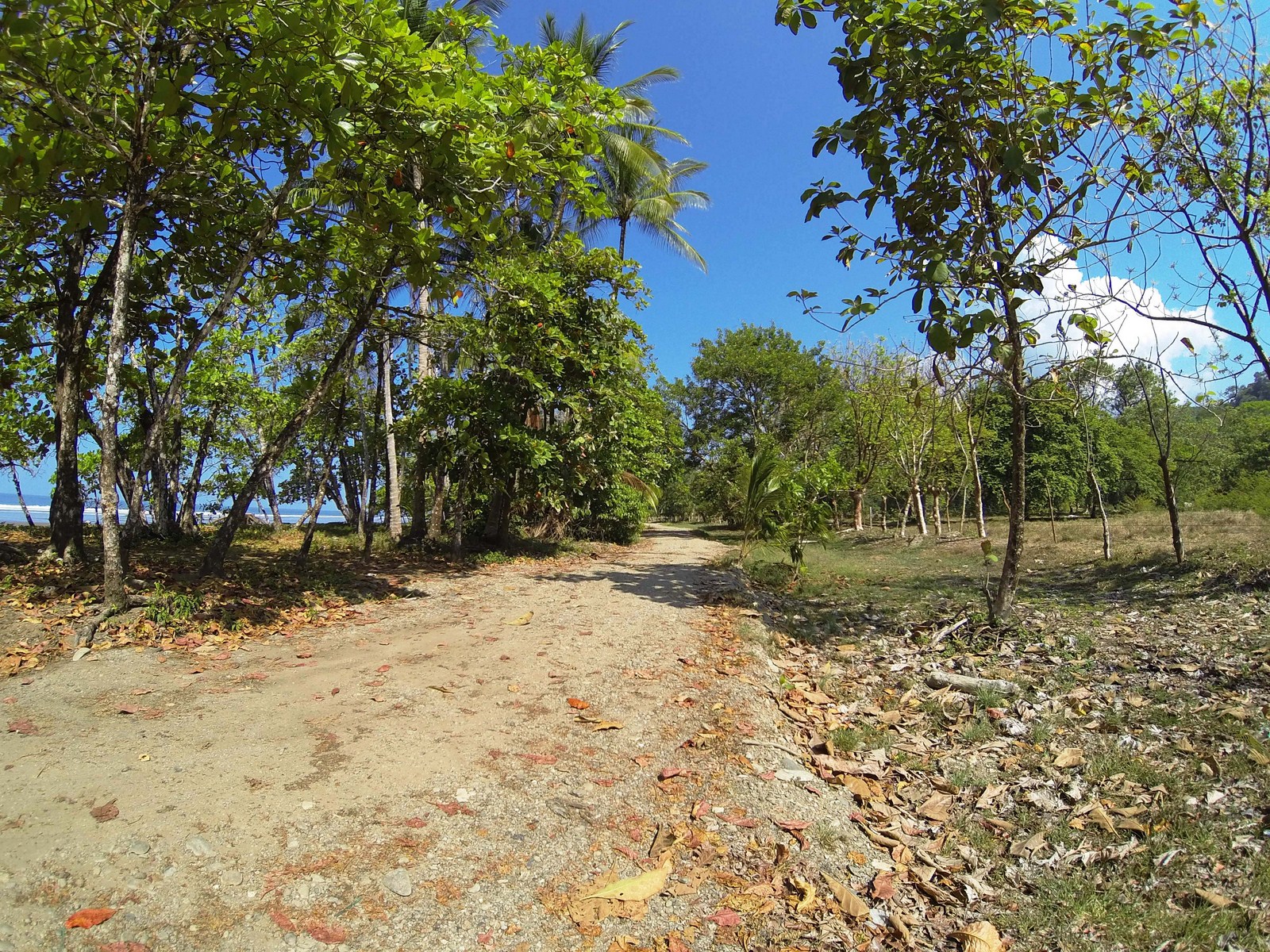 0 bed Land For Sale in Dominical, Puntarenas - thumb 14
