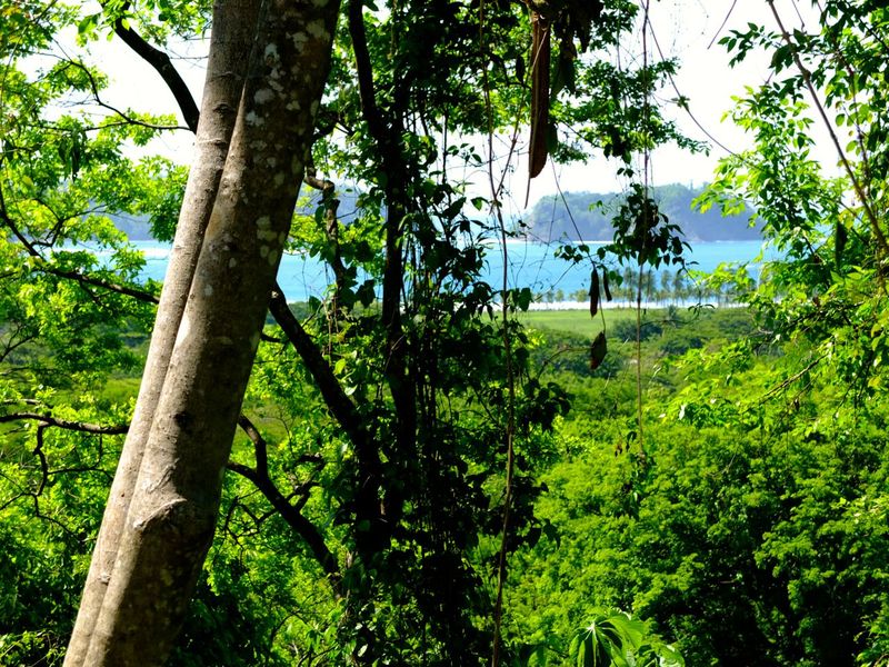 0 bed Land For Sale in Samara, Guanacaste - 1