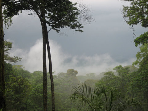 0 bed Land For Sale in Uvita, Puntarenas - thumb 4