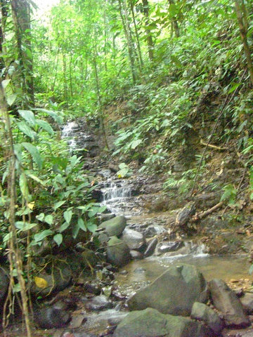 0 bed Land For Sale in Uvita, Puntarenas - thumb 5