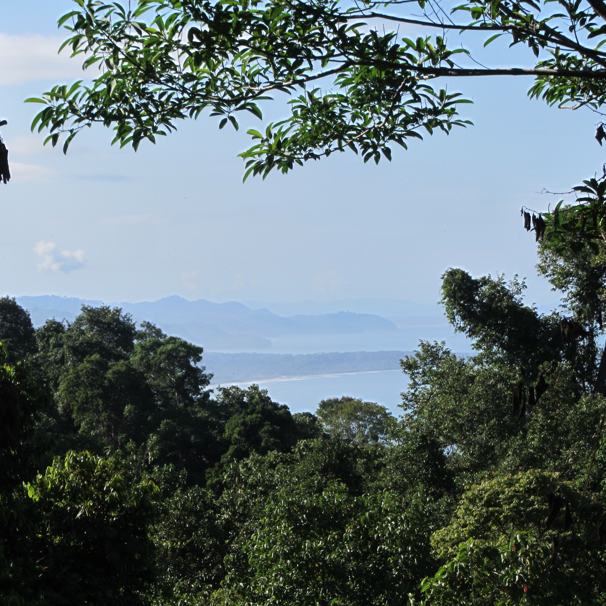0 bed Land For Sale in Dominical, Puntarenas - thumb 1