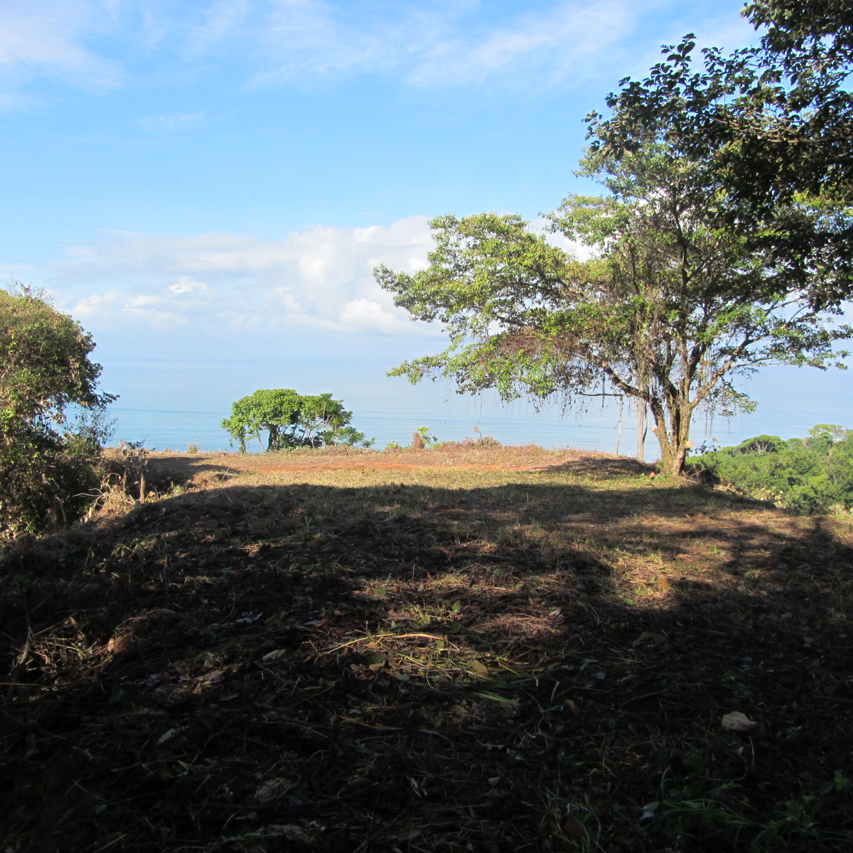 0 bed Land For Sale in Dominical, Puntarenas - thumb 2