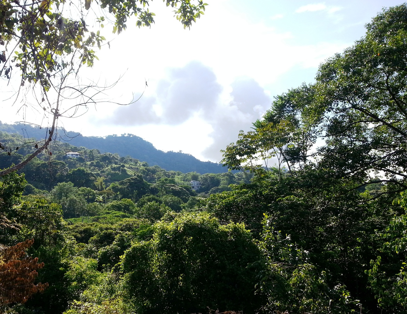 0 bed Land For Sale in Dominical, Puntarenas - thumb 3