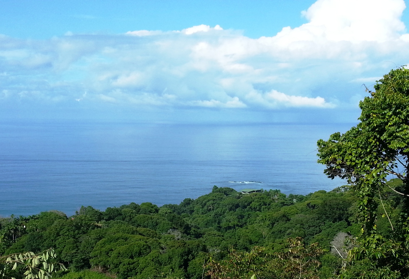 0 bed Land For Sale in Dominical, Puntarenas - thumb 4