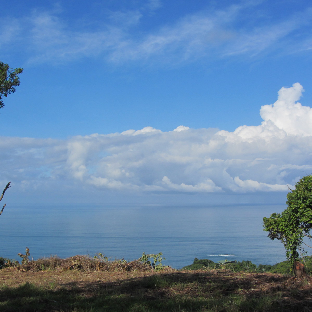 0 bed Land For Sale in Dominical, Puntarenas - thumb 5