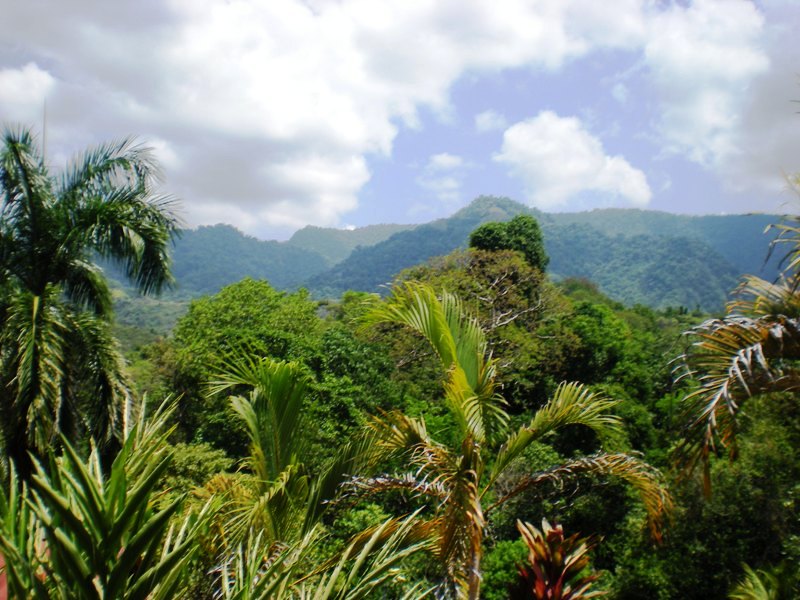 3 bed Single Family Homes For Sale in Ojochal, Puntarenas - thumb 5