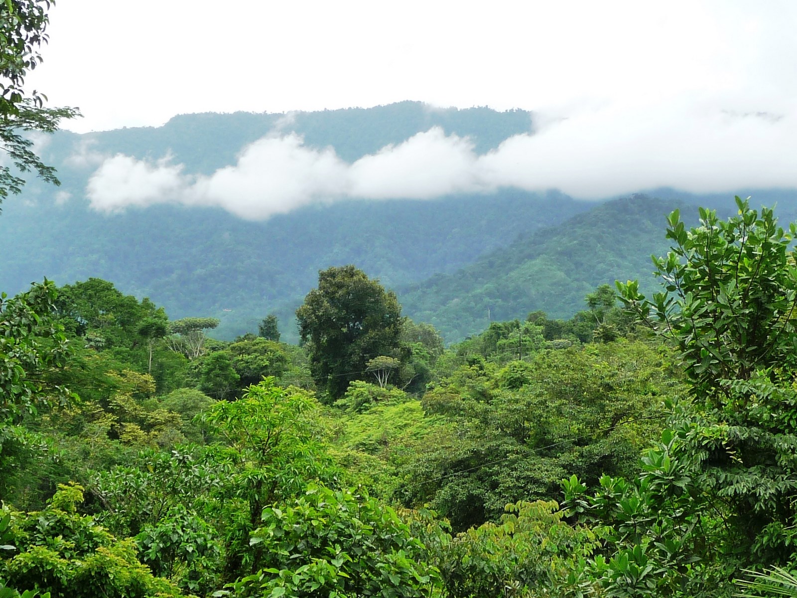 2 bed Single Family Homes For Sale in Ojochal, Puntarenas - thumb 16