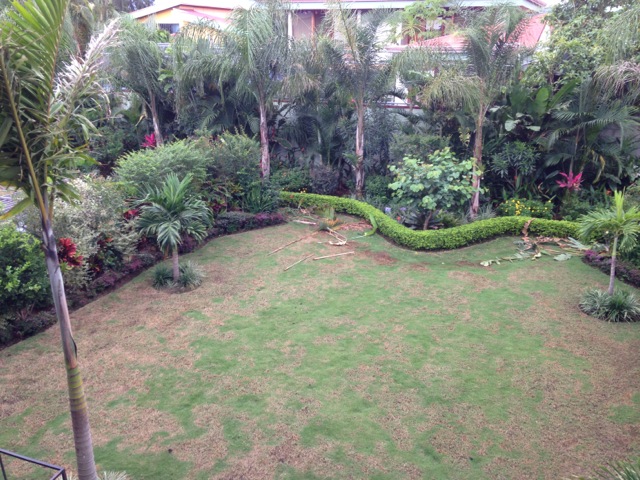 3 bed Single Family Homes For Sale in Santa Ana, San Jose - thumb 4