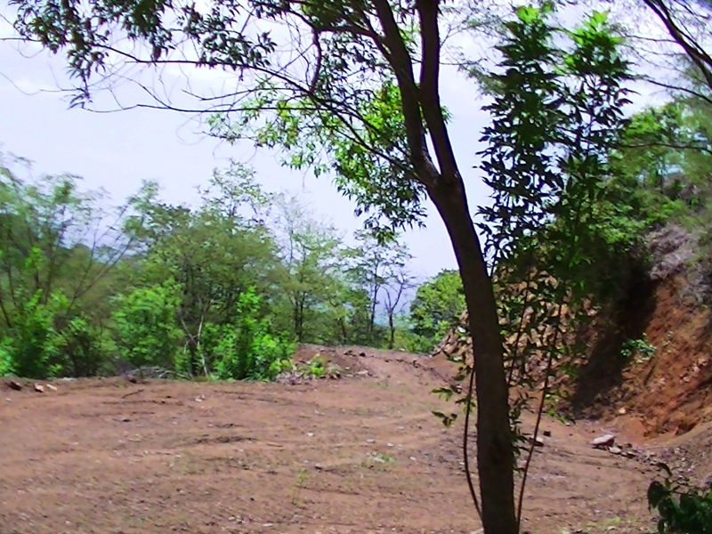 0 bed Land For Sale in Hermosa, Guanacaste - 1