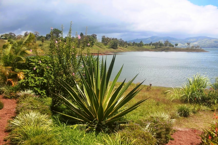 7 bed Single Family Homes For Sale in Lake Arenal, Guanacaste - thumb 28