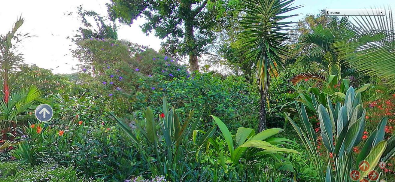 7 bed Single Family Homes For Sale in Lake Arenal, Guanacaste - thumb 6