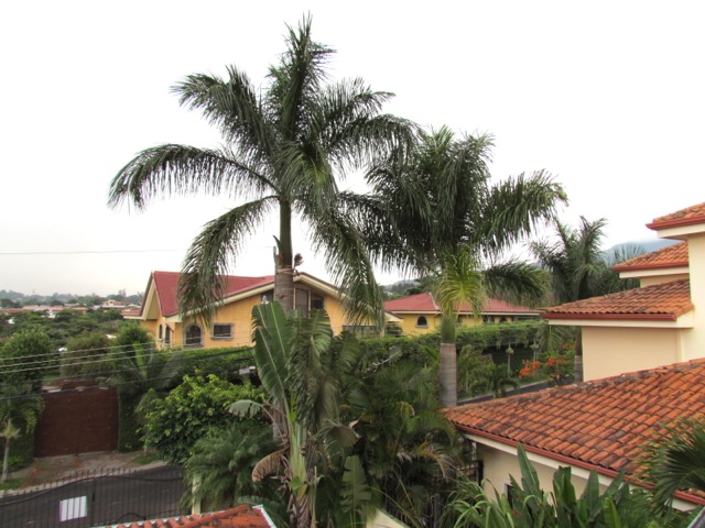 4 bed Single Family Homes For Sale in Escazu, San Jose - thumb 7
