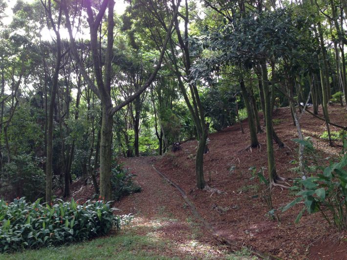 0 bed Land For Sale in Dominical, Puntarenas - thumb 2