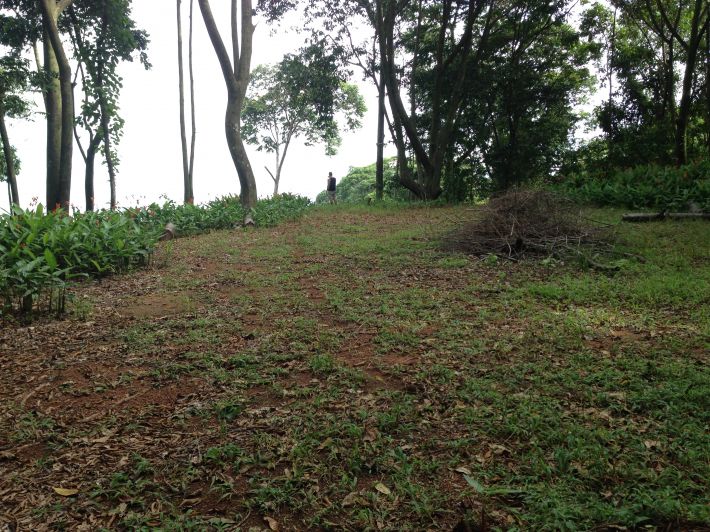 0 bed Land For Sale in Dominical, Puntarenas - thumb 6