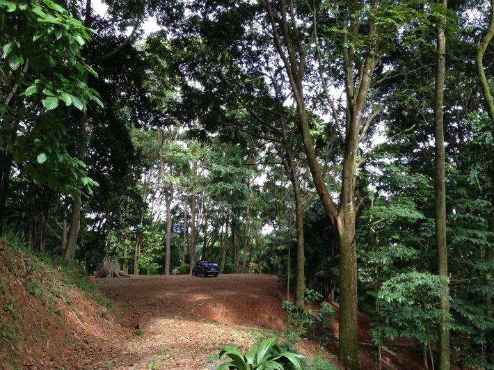 0 bed Land For Sale in Dominical, Puntarenas - thumb 10