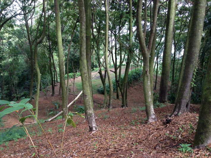 0 bed Land For Sale in Dominical, Puntarenas - thumb 9