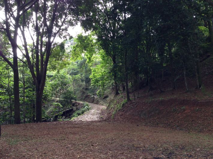 0 bed Land For Sale in Dominical, Puntarenas - thumb 12