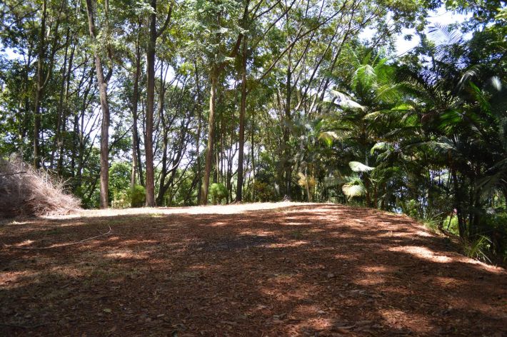 0 bed Land For Sale in Dominical, Puntarenas - thumb 13