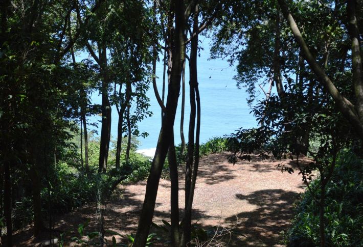 0 bed Land For Sale in Dominical, Puntarenas - thumb 7