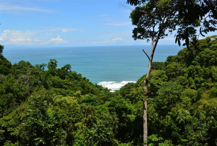 0 bed Land For Sale in Dominical, Puntarenas - thumb 3
