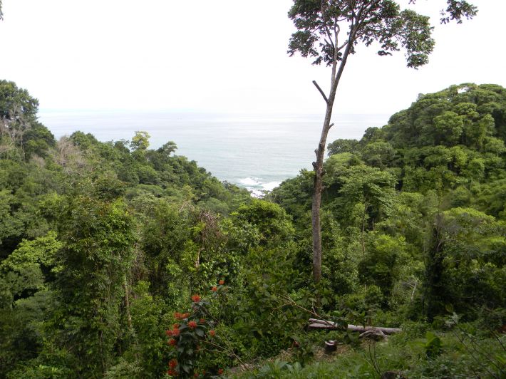0 bed Land For Sale in Dominical, Puntarenas - thumb 14