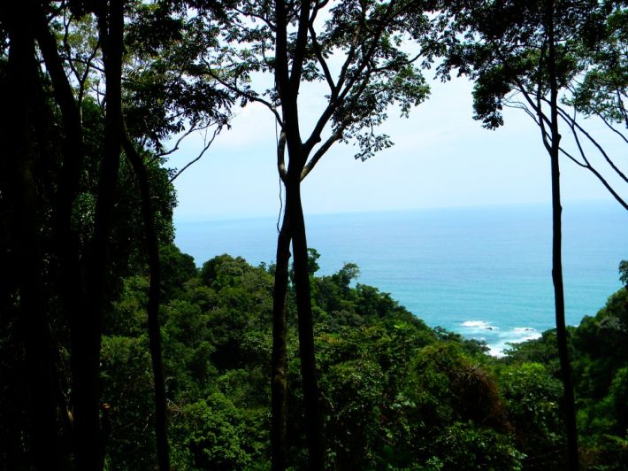 0 bed Land For Sale in Dominical, Puntarenas - thumb 1