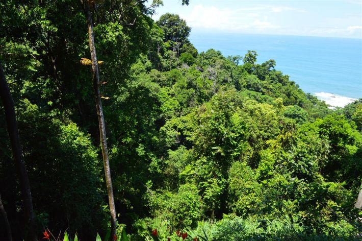 0 bed Land For Sale in Dominical, Puntarenas - thumb 16