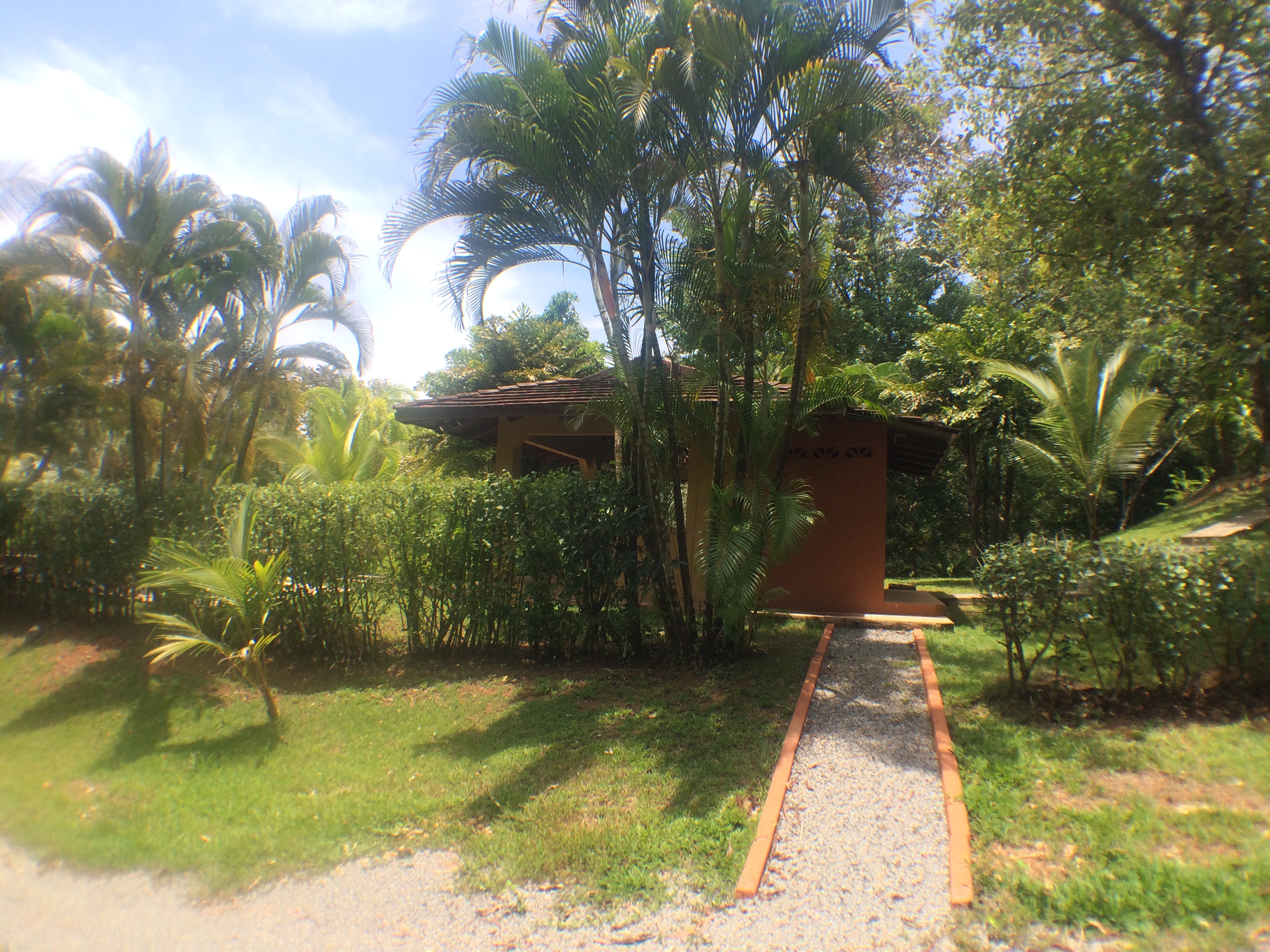 3 bed Single Family Homes For Sale in Ojochal, Puntarenas - thumb 23