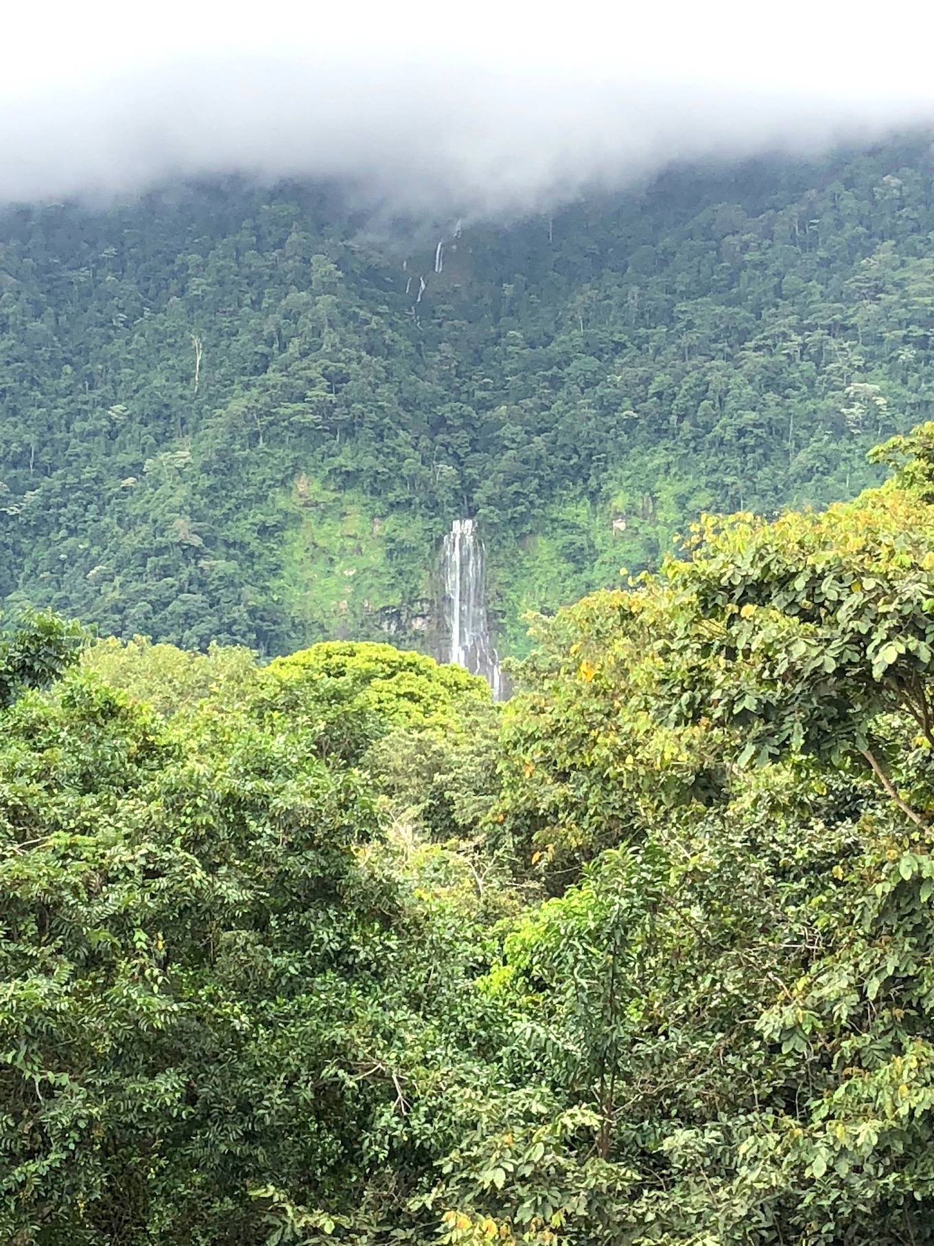 2 bed Single Family Homes For Sale in Dominical, Puntarenas - thumb 12