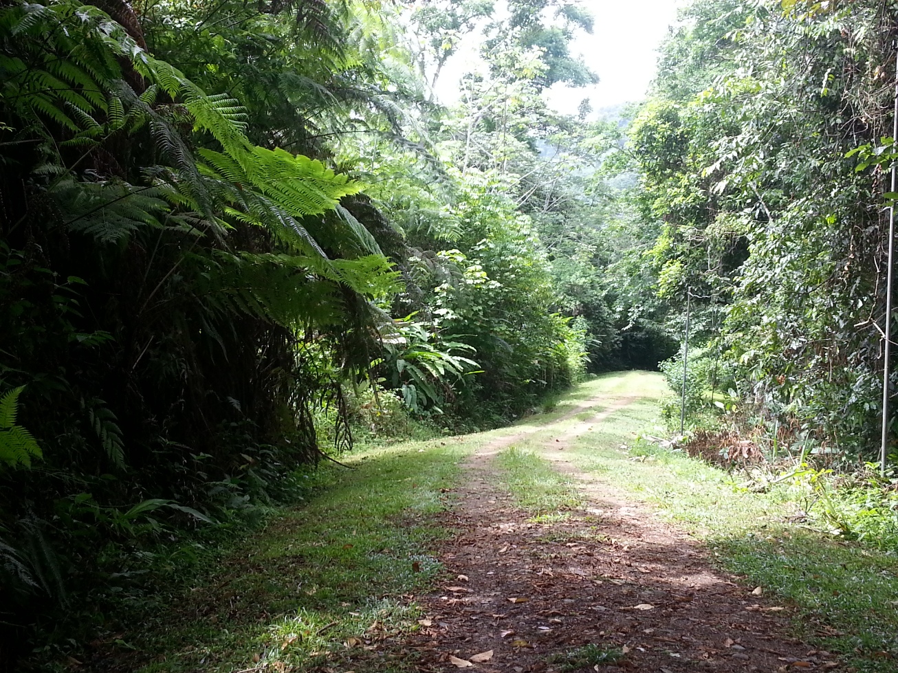 2 bed Single Family Homes For Sale in Dominical, Puntarenas - thumb 3